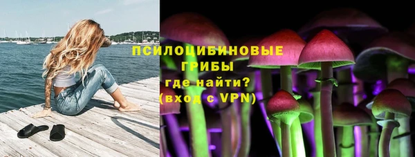 тгк Россошь