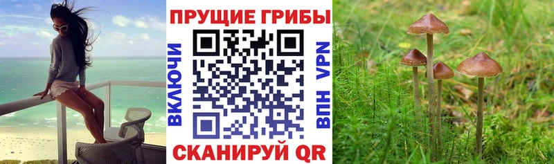 Псилоцибиновые грибы мухоморы  Котельники 